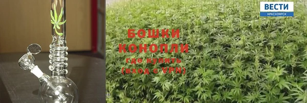 COCAINE Богданович